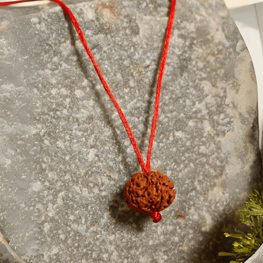 5 Mukhi Rudraksha Pendant
