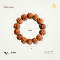 5 Mukhi Rudraksha (Nepali) Bracelet