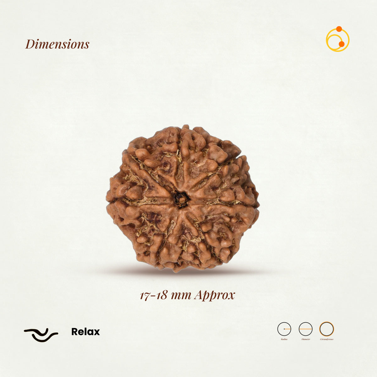 7 Mukhi Rudraksha Bead(Nepali)