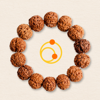 Rudraksha