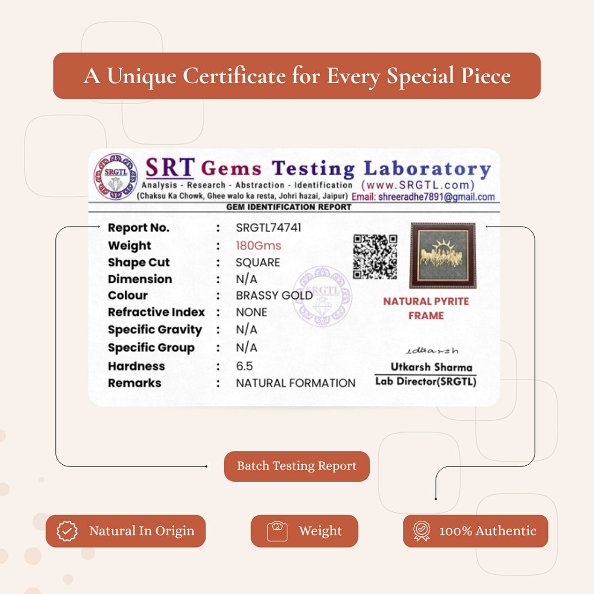 Vastu 7 Horses on Raw Pyrite Frame