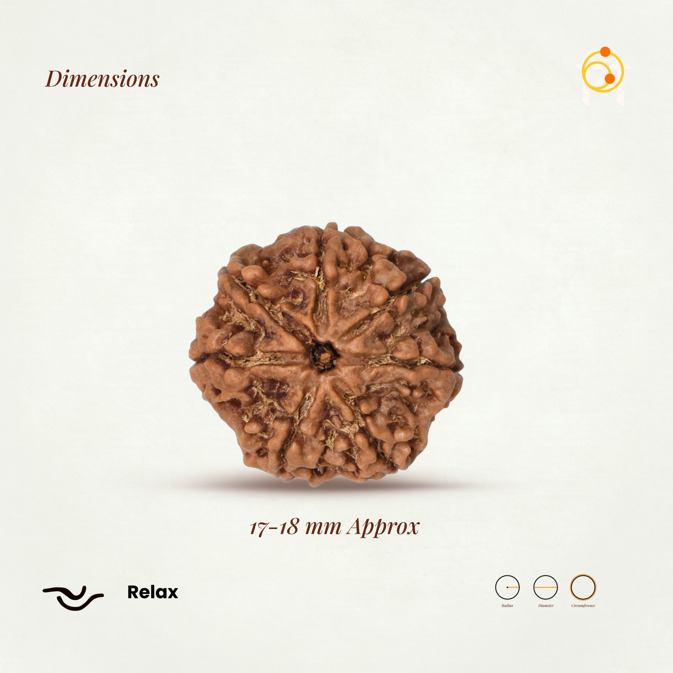 7 Mukhi Rudraksha Bead(Nepali)