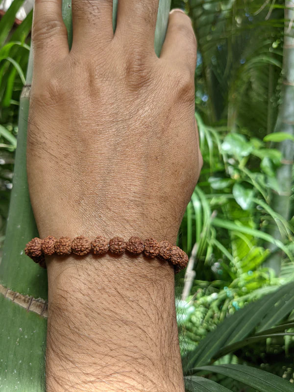 Rudraksh Unisex Bracelet