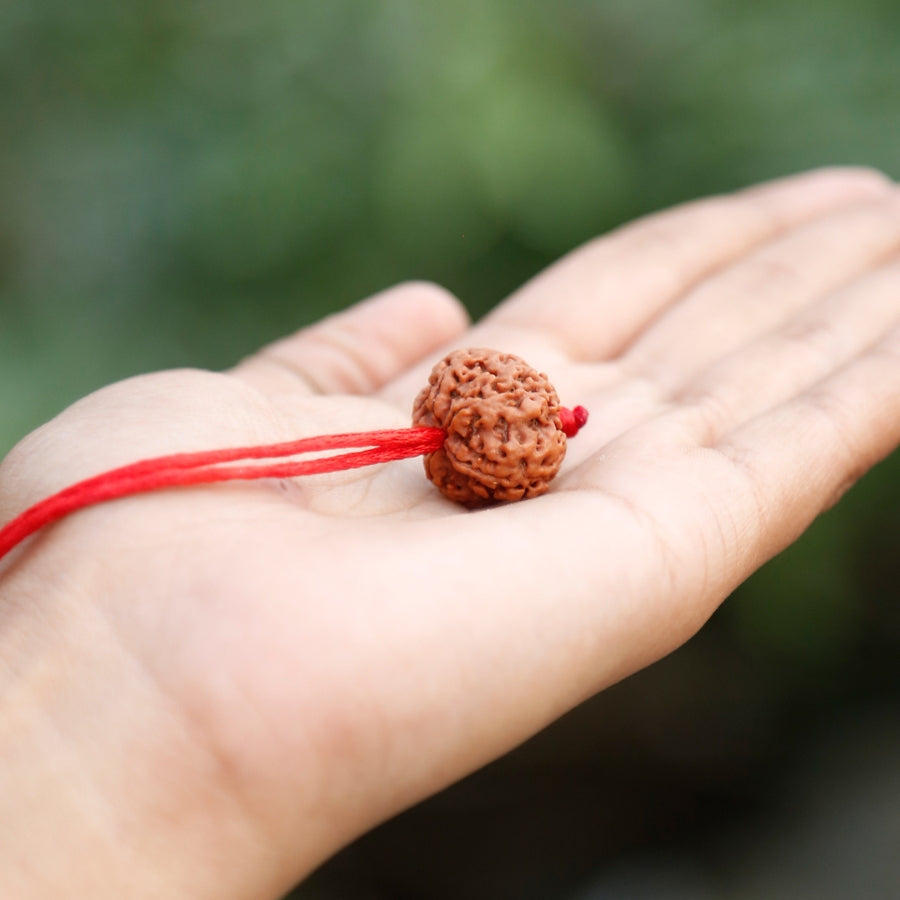 Shree Sidhivinayak Rudraksha combo