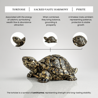 Vastu Pyrite Tortoise (Kachhua)